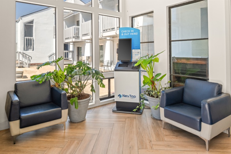 Lobby seating corner with navy armchairs and plants